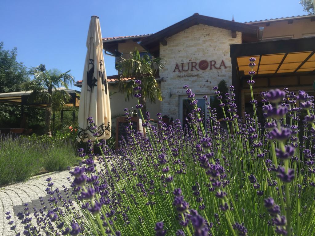 Bed & Breakfast Aurora Panzio